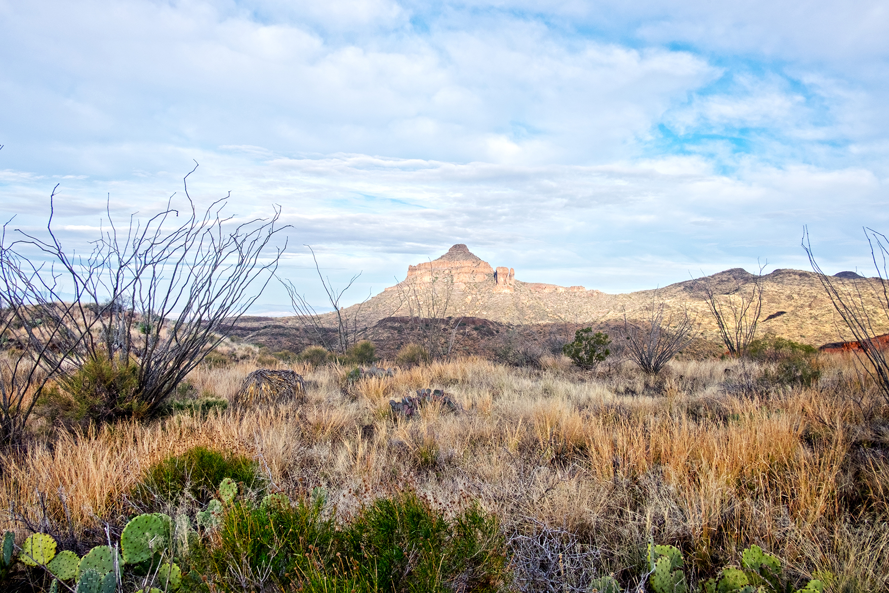 Outer Mountain Loop Big Bend